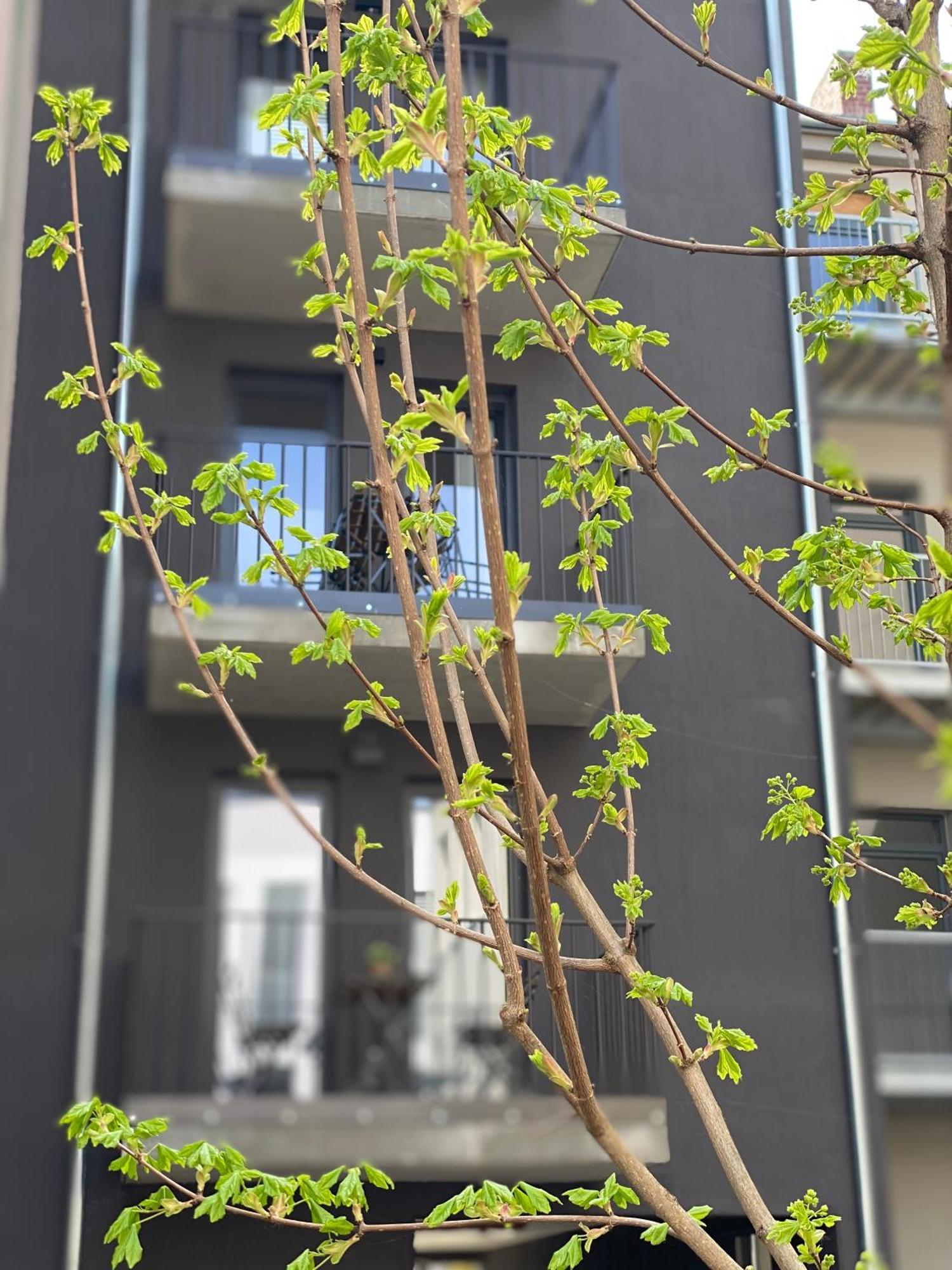 Eiwelhome - Stilvoll, Urban-Ruhig Schlafen, Bahnhofsnah, Balkon Erfurt Luaran gambar