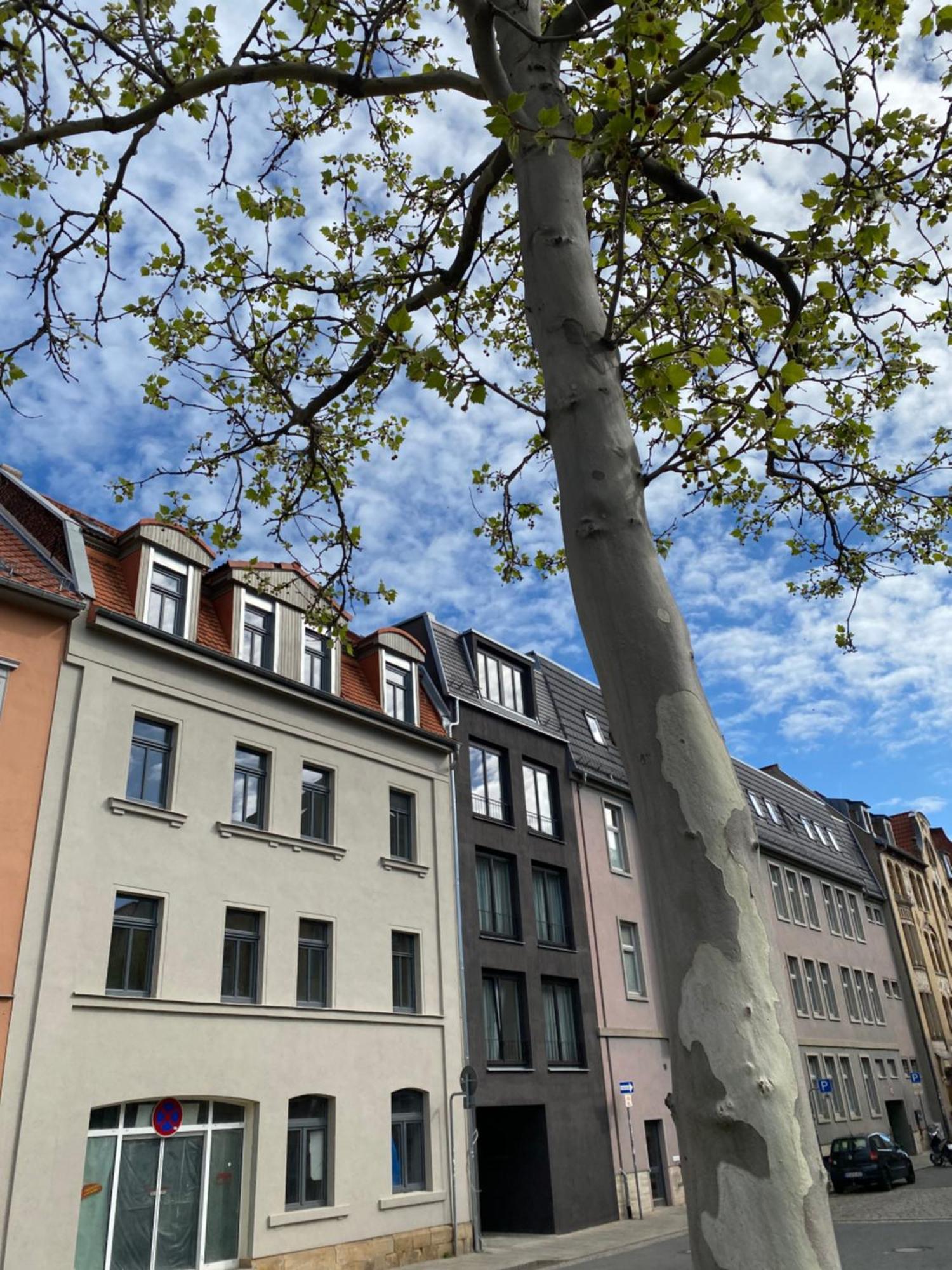 Eiwelhome - Stilvoll, Urban-Ruhig Schlafen, Bahnhofsnah, Balkon Erfurt Luaran gambar
